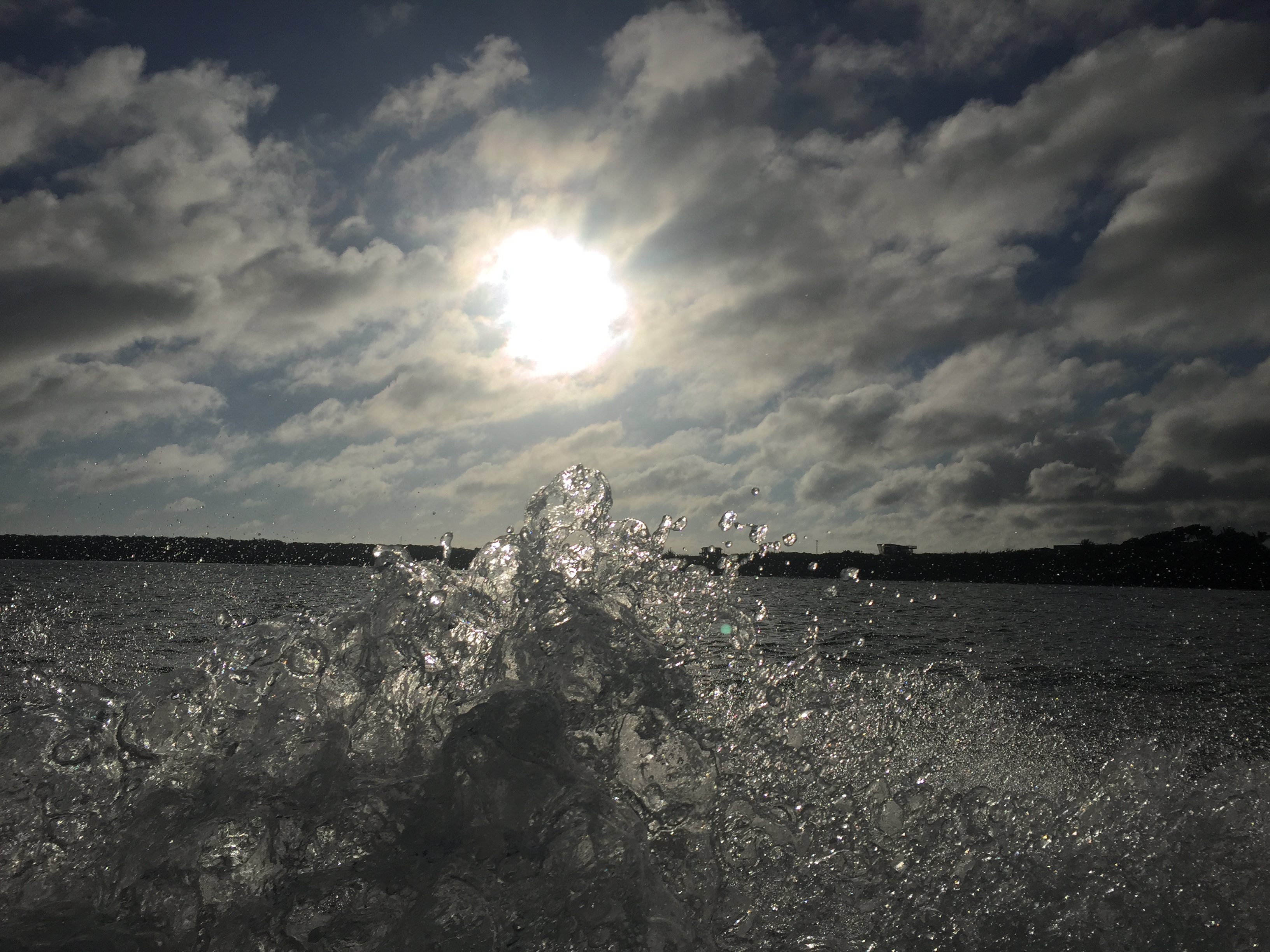 2A6814BF-594B-4703-9673-DEE9E9D5D2D5